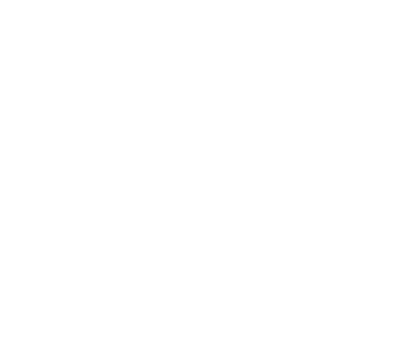 Ads Icon